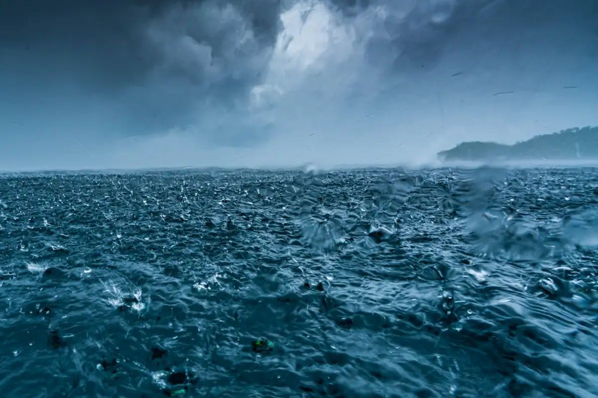arus laut